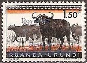 Stamp, African Buffalo (Syncerus caffer), Burundi,  , Mammals, Animals (Fauna), Buffaloes