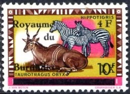 Common Eland (Taurotragus oryx), Zebra (Equus sp.) 