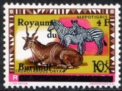 Common Eland (Taurotragus oryx), Zebra (Equus sp.)