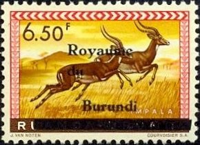 Impala (Aepyceros melampus)