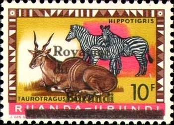 Common Eland (Taurotragus oryx), Zebra (Equus sp.)