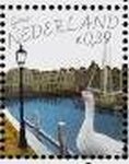 Harbour, Domestic Goose (Anser anser domestica)