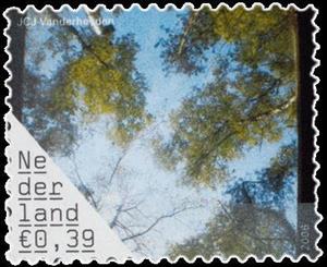 Stamp, J.C.J. Vanderheyden, Netherlands,  , Trees, Photographs, Art, Plants (Flora)