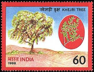 Stamp, World Environment Day- Khejri tree, India,  , Trees, Plants (Flora)