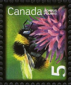 Stamp, Common Arctic Bumblebee (Bombus polaris), Canada,  , Insects, Bees, Animals (Fauna)