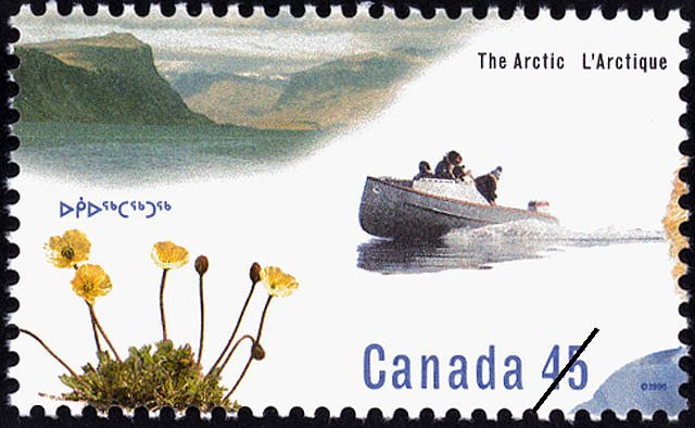 Canadian Arctic- Arctic poppy, cargo canoe