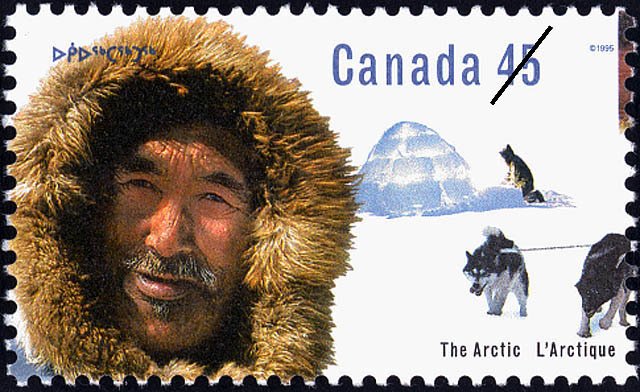 Inuk Man, Igloo, Sled Dogs (Canis lupus familiaris)