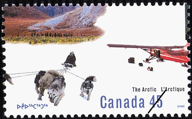 Sled Dogs (Canis lupus familiaris), Ski Plane