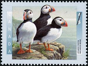 Stamp, Atlantic Puffin (Fratercula arctica), Canada,  , Birds, Animals (Fauna), Puffins