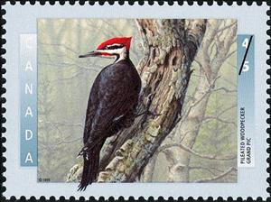 Stamp, Pileated Woodpecker (Dryocopus pileatus) , Canada,  , Birds, Animals (Fauna)
