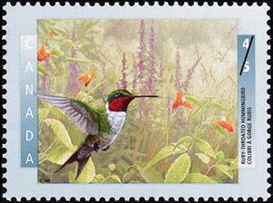 Stamp, Ruby-throated Hummingbird (Archilochus colubris), Canada,  , Birds, Animals (Fauna), Hummingbirds