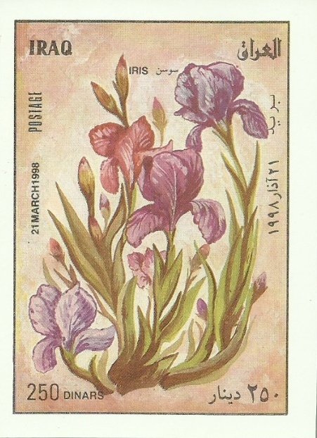 Iris