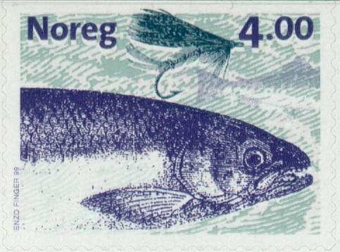 Atlantic Salmon (Salmo salar)