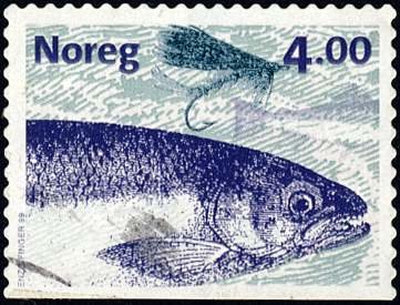 Atlantic Salmon (Salmo salar)