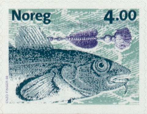 Atlantic cod (Gadus morhua)