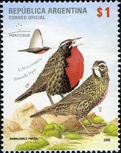 Stamp, Long-tailed Meadowlark (Sturnella loyca), Argentina,  , Birds