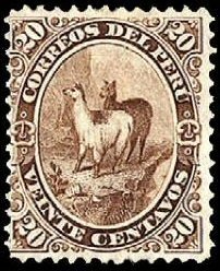 Lama (Lama glama)