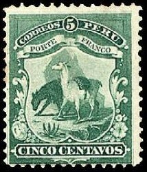 Lama (Lama glama)