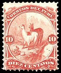 Lama (Lama glama)