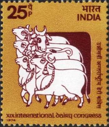 Cows (Handpainted Rajasthan Cloth)