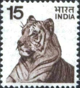 Tiger (Panthera tigris)