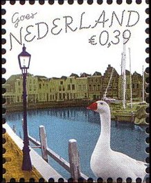 Harbour, Domestic Goose (Anser anser domestica)