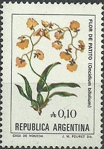 Gomesa bifolia (syn.Oncidium bifolium)