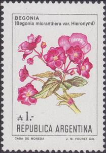 Stamp, Begonia micranthera, Argentina,  , Flowers