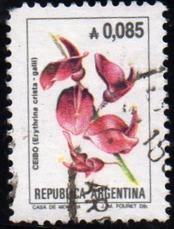 Erythrina crista-galli