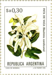 Stamp, Pata de vaca, Argentina,  