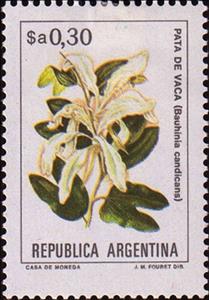 Stamp, Bauhinia candicans, Argentina,  , Flowers