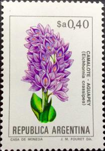 Stamp, Eichhornia crassipes, Argentina,  , Flowers