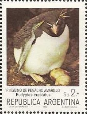 Stamp, Southern Rockhopper Penguin (Eudyptes crestatus), Argentina,  , Birds, Penguins, Animals (Fauna)