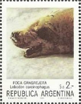 Stamp, Crabeater Seal (Lobodon carcinophagus), Argentina,  , Sea (Marine) Mammals, Animals (Fauna), Seals (Animals)