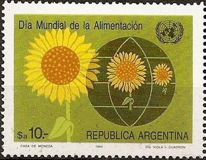 Girasol