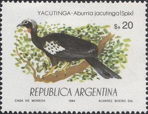 Stamp, Black-fronted Piping Guan (Aburria jacutinga), Argentina,  , Birds, Animals (Fauna)