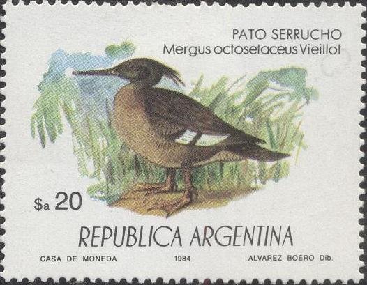 Brazilian Merganser (Mergus octosetaceus)