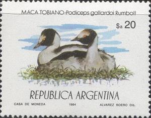 Stamp, Pied-billed Grebe (Podilymbus podiceps antarcticus) , Argentina,  , Birds, Animals (Fauna)