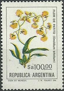 Gomesa bifolia (syn.Oncidium bifolium)
