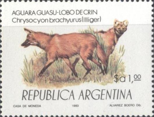 Maned Wolf (Chrysocyon brachyurus)