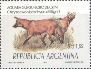 Stamp, Maned Wolf (Chrysocyon brachyurus), Argentina,  