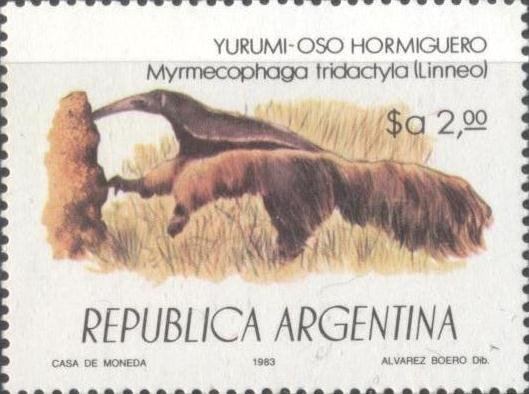 Giant Anteater (Myrmecophaga tridactyla)