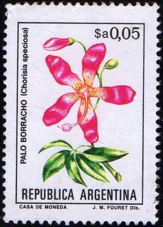Chorisia Speciosa