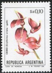 Erythrina crista-galli