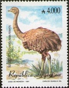 Stamp, Darwin's Rhea (Pterocnemia pennata) , Argentina,  