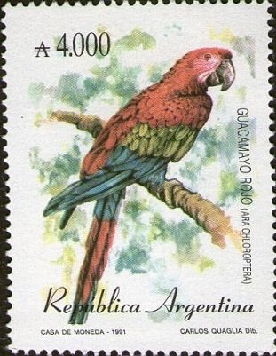 Red-and-green Macaw (Ara chloroptera) 