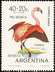 Stamp, Chilean Flamingo (Phoenicopterus chilensis), Argentina,  , Birds, Flamingos, Animals (Fauna)