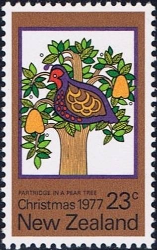 Partridge