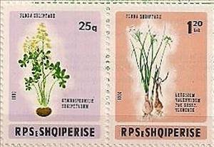 Se-tenant, Tenant of 2290+91A, Albania,  , Flowers