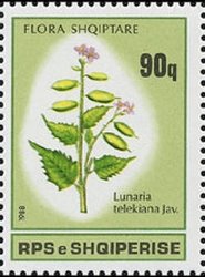 Stamp, Lunaria telekiana, Albania,  , Plants (Flora)